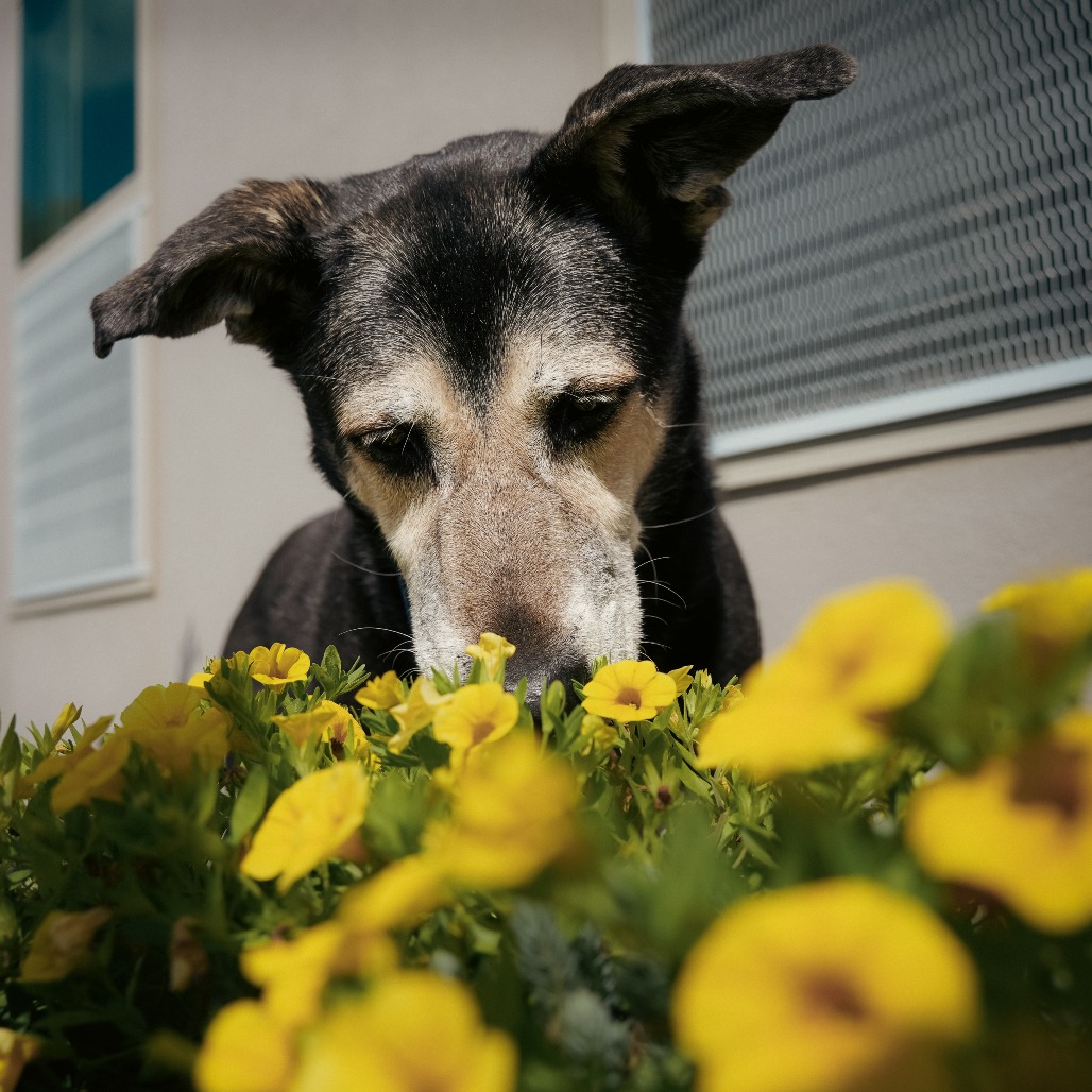 MADDY, photo 14