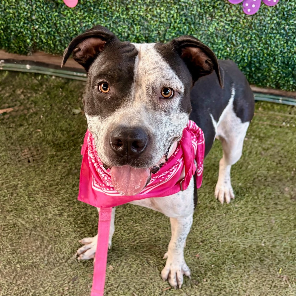 Peachy Keen — thumbnail 10