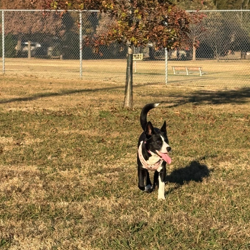 Aphrodite — thumbnail 3