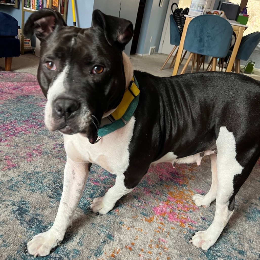 Photo of Zibby 16