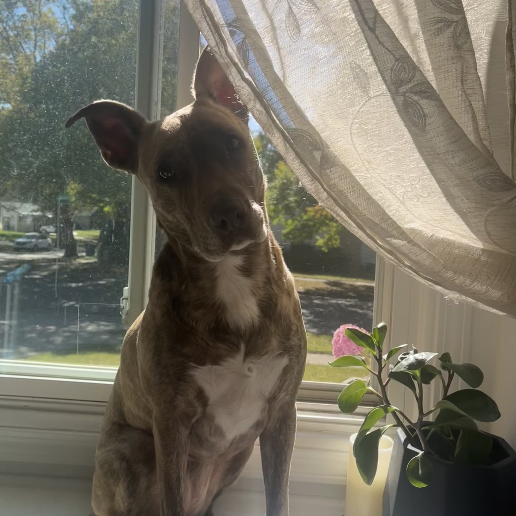Dixie Loo, photo 14