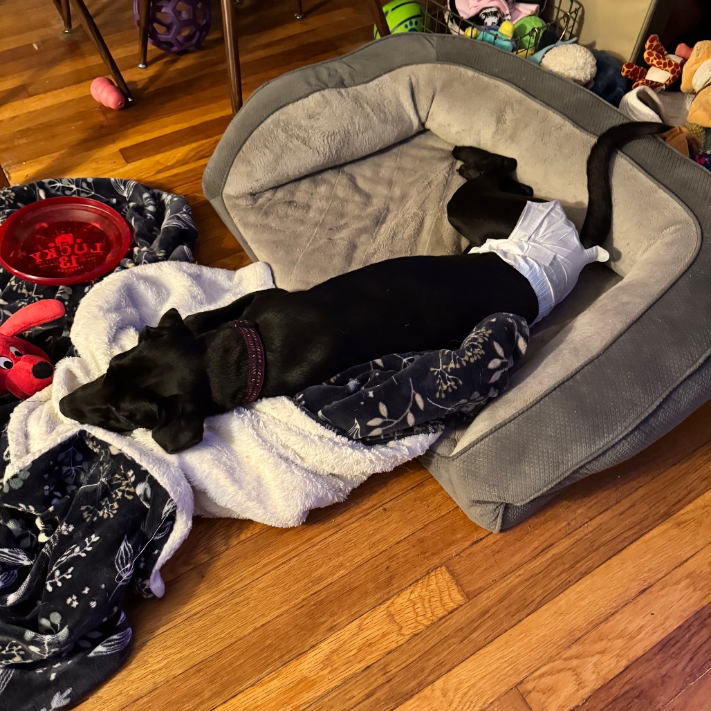Wednesday, photo 15