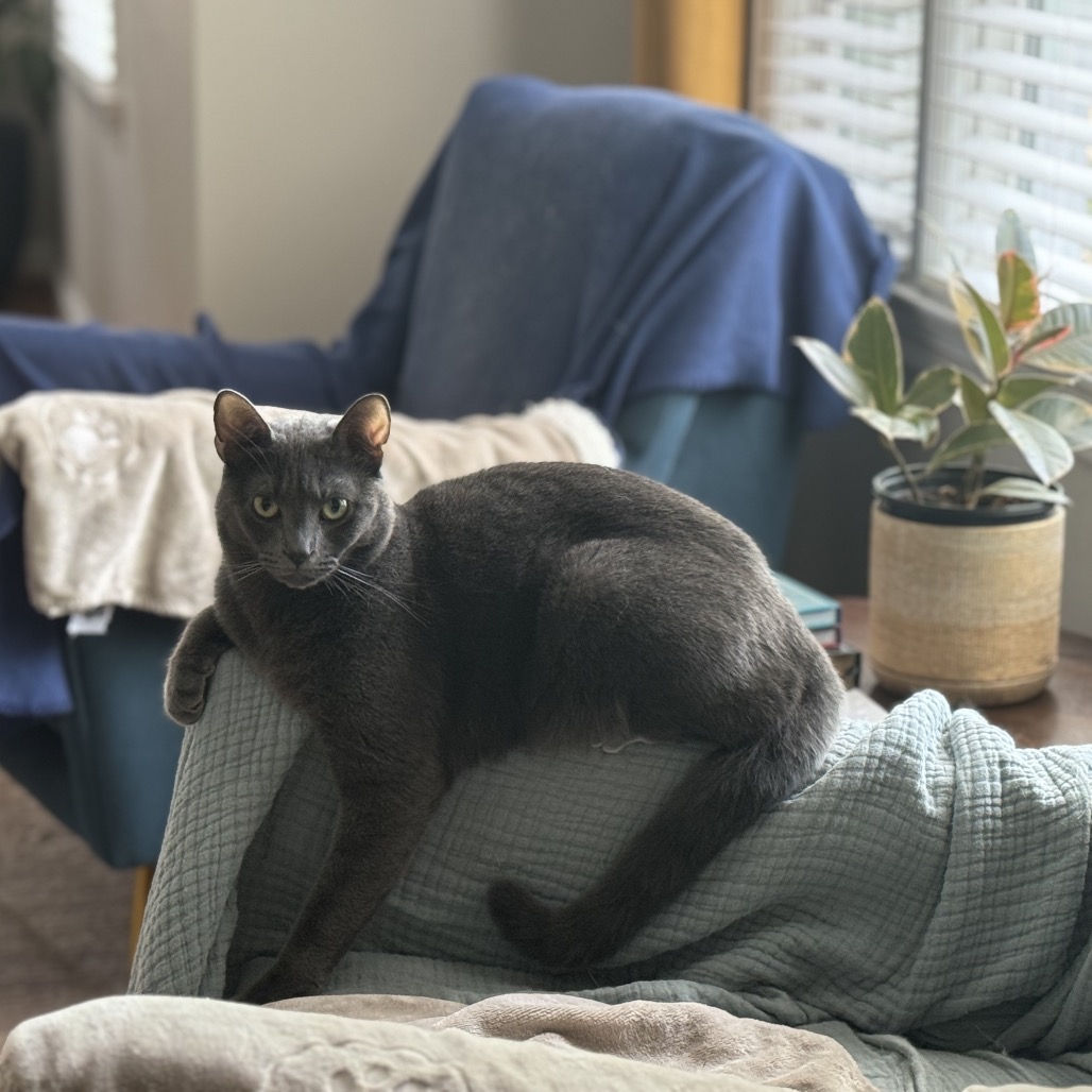 Asher — thumbnail 2