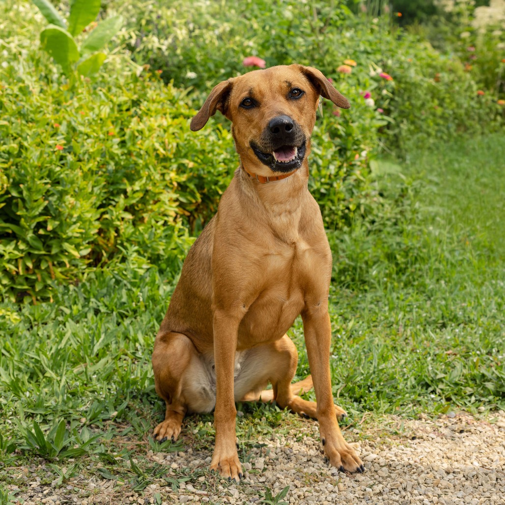 Solana -- In Foster