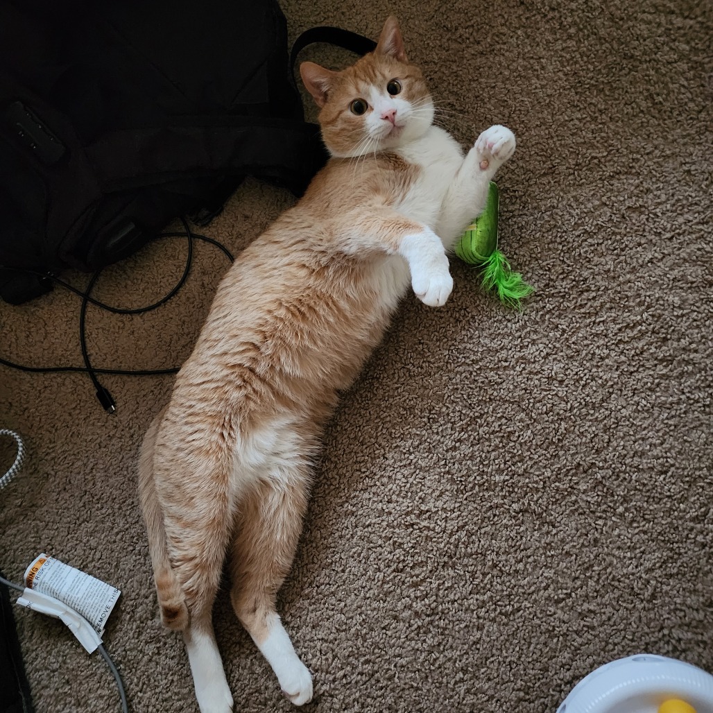 Photo of Heffalump 9