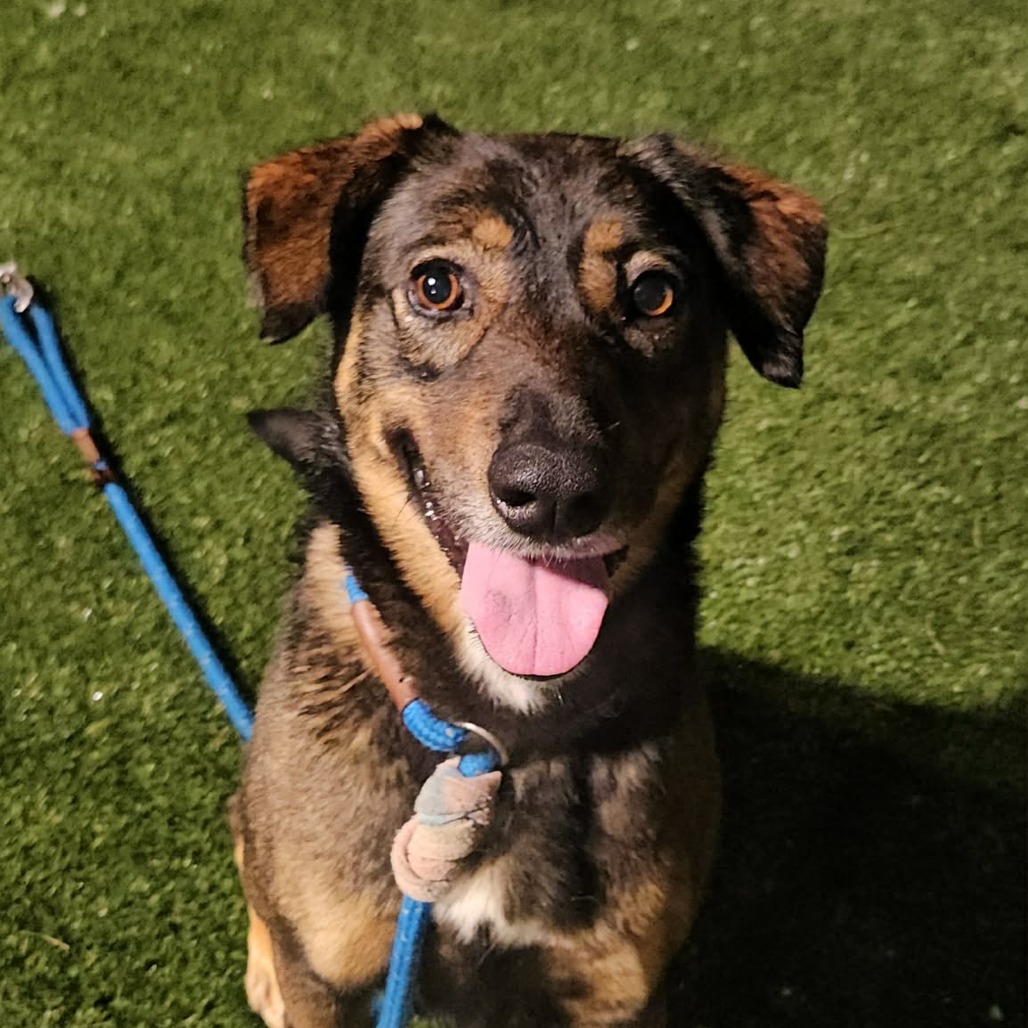 Buster — thumbnail 5