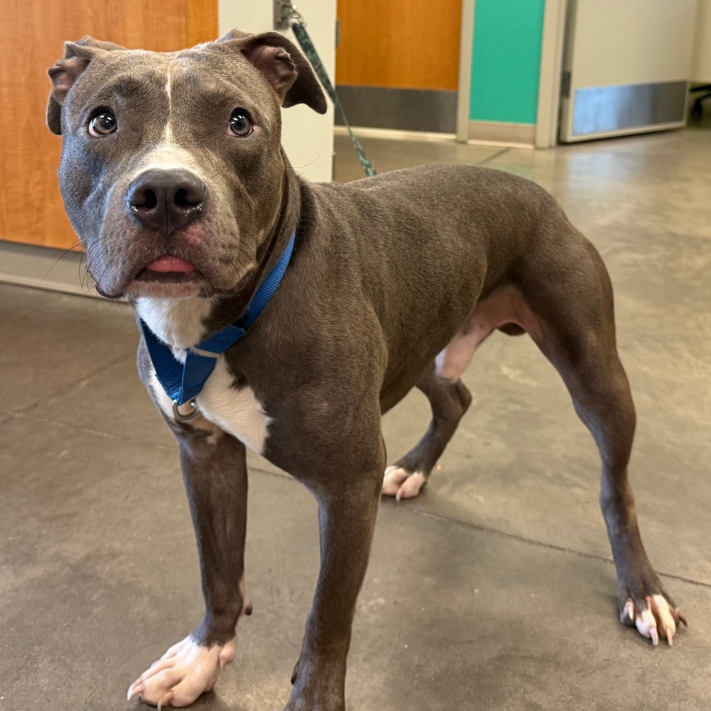 Photo of Blep 3