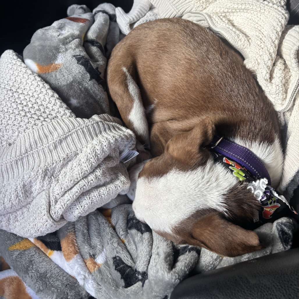 SLEEPY, photo 5