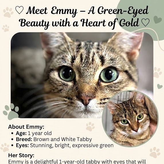 Emmy (Mom), photo 6