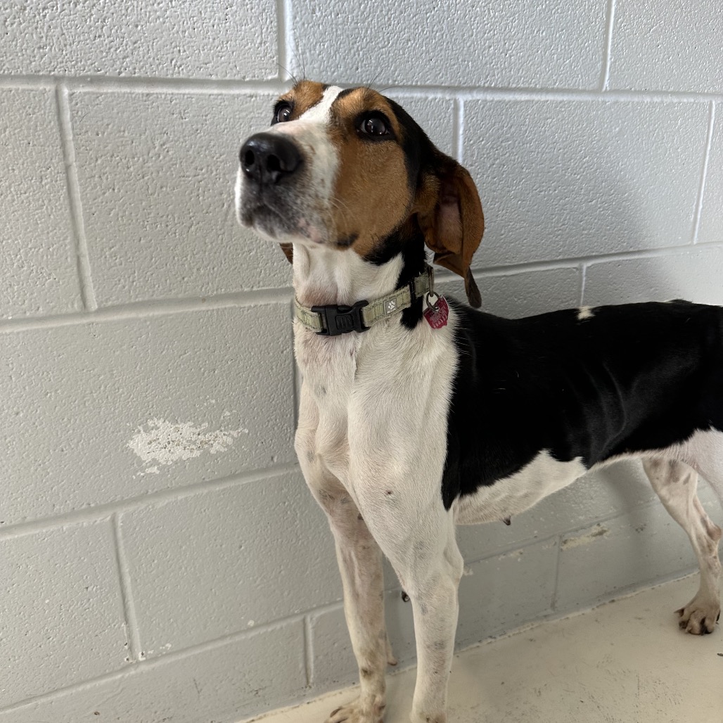 Maisy — thumbnail 2