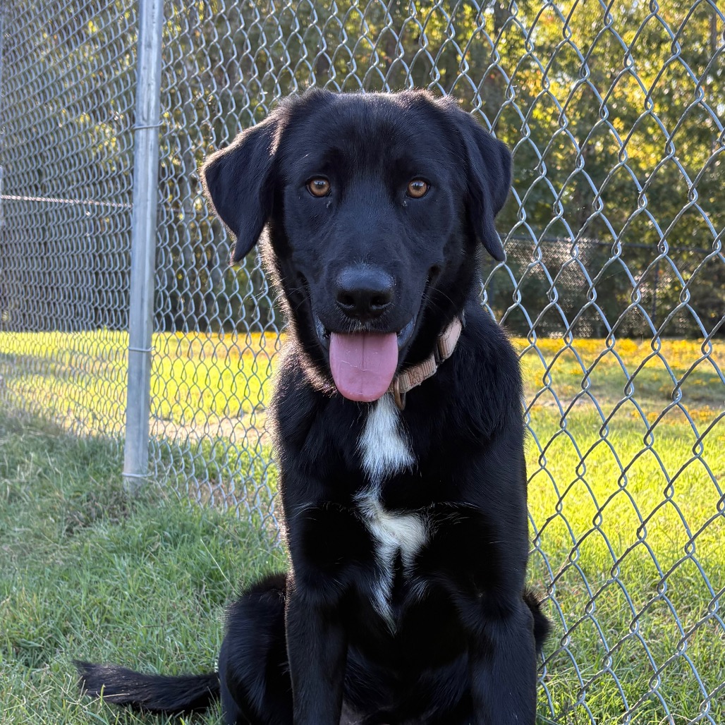 Ernie, photo 6