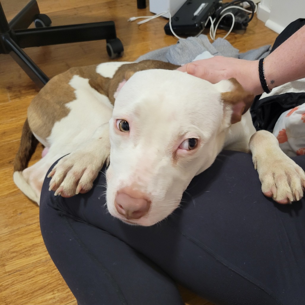 Crunchwrap — thumbnail 3