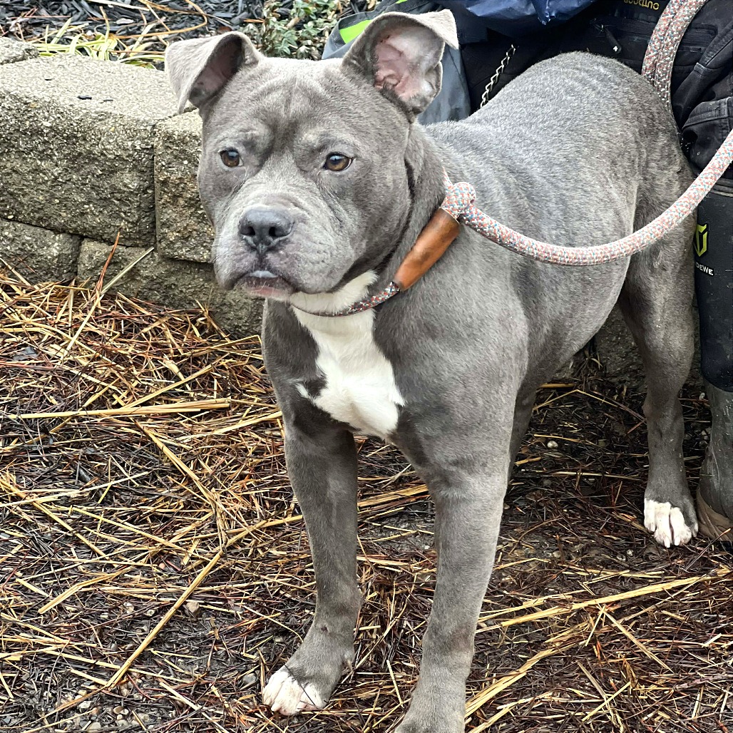 Oxford — thumbnail 4