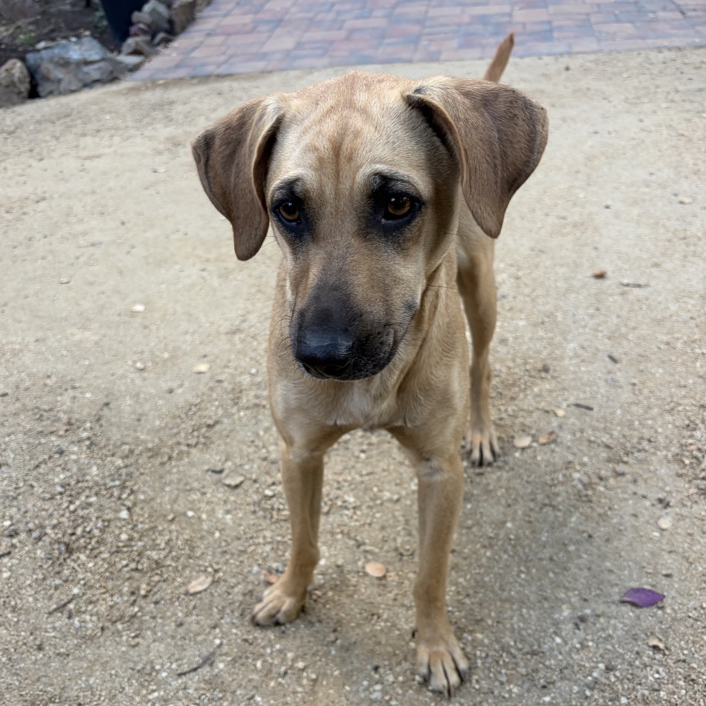 NALA, photo 3