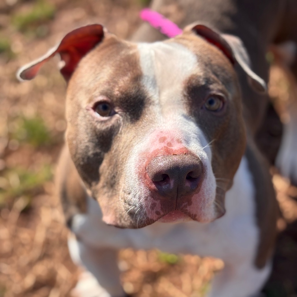 58a121fe990cce861d591e81d6af2eac