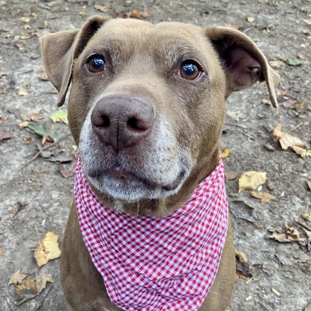Diesel, photo 21