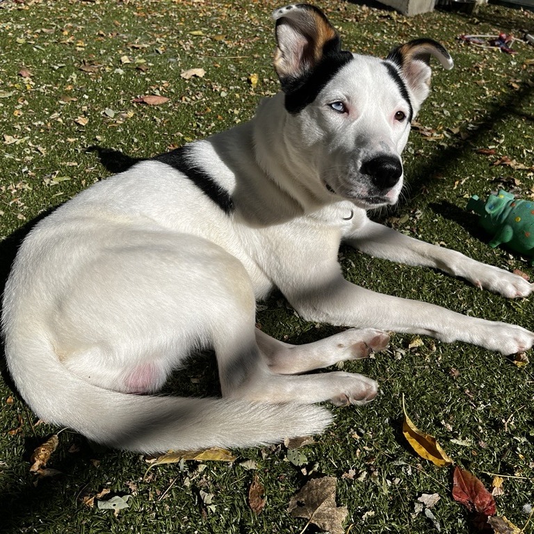 Enoch, photo 4