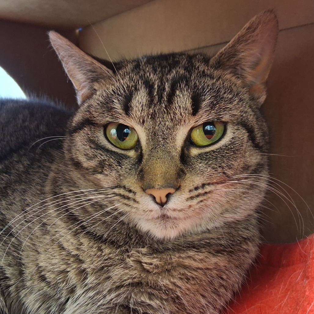 Eleven — thumbnail 2