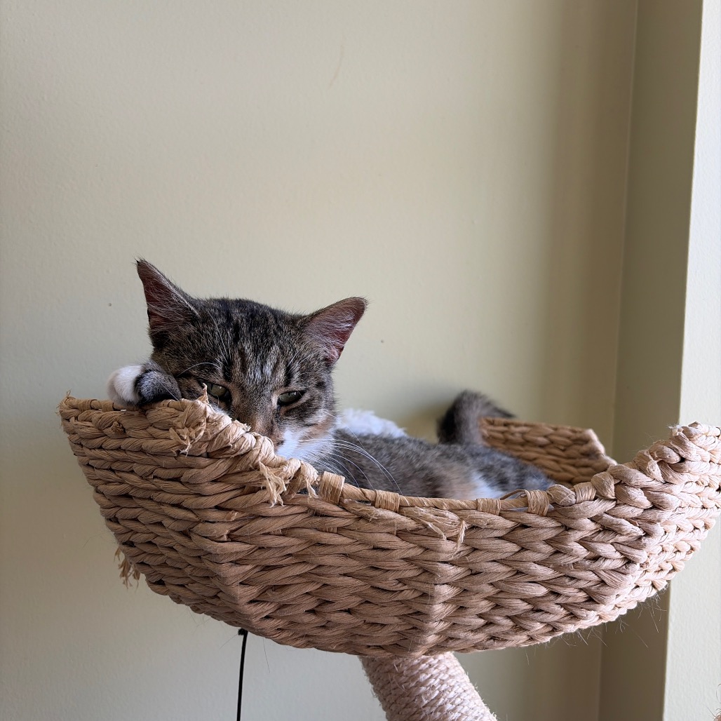 Evelyn Jr., photo 5