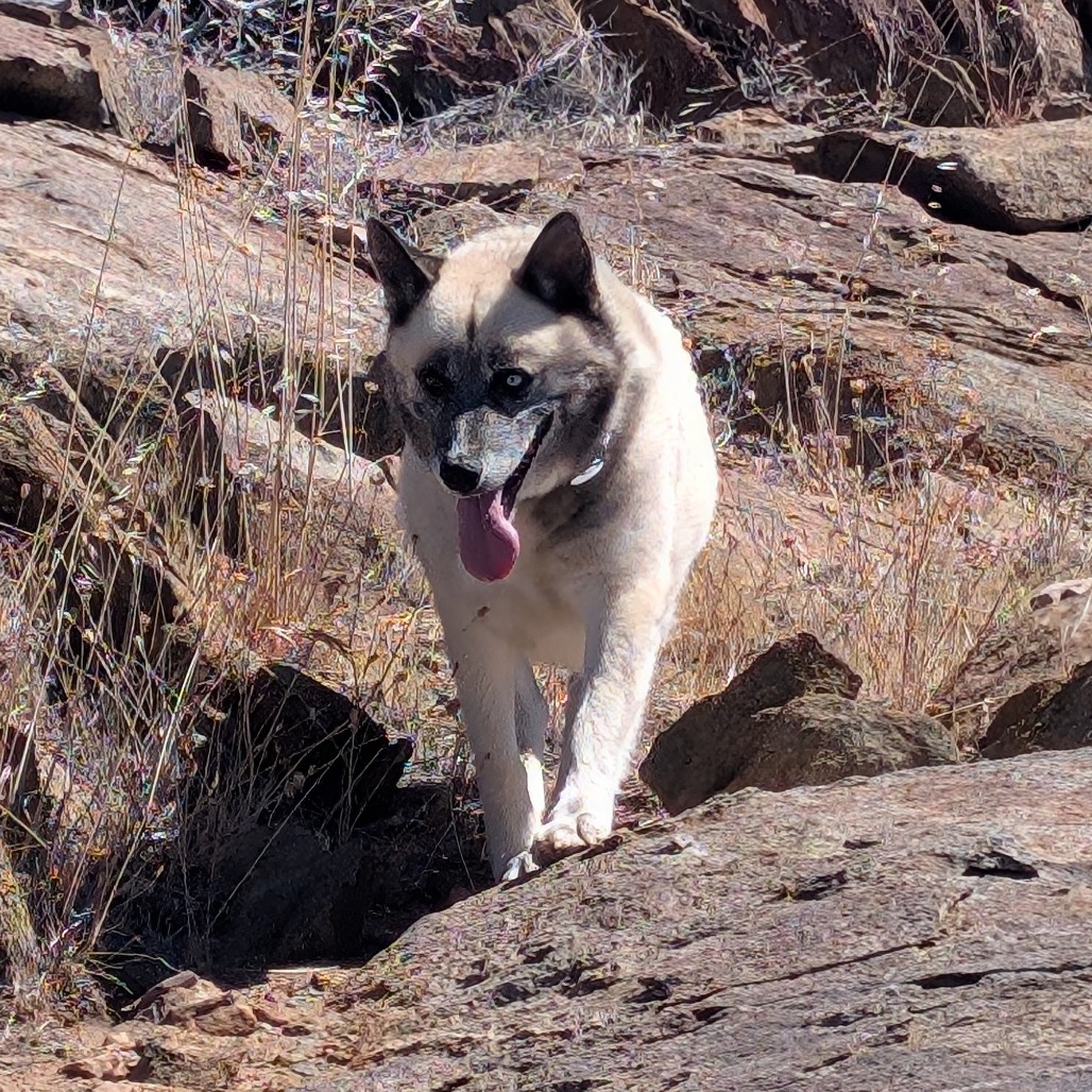 Jasper Junco, photo 11