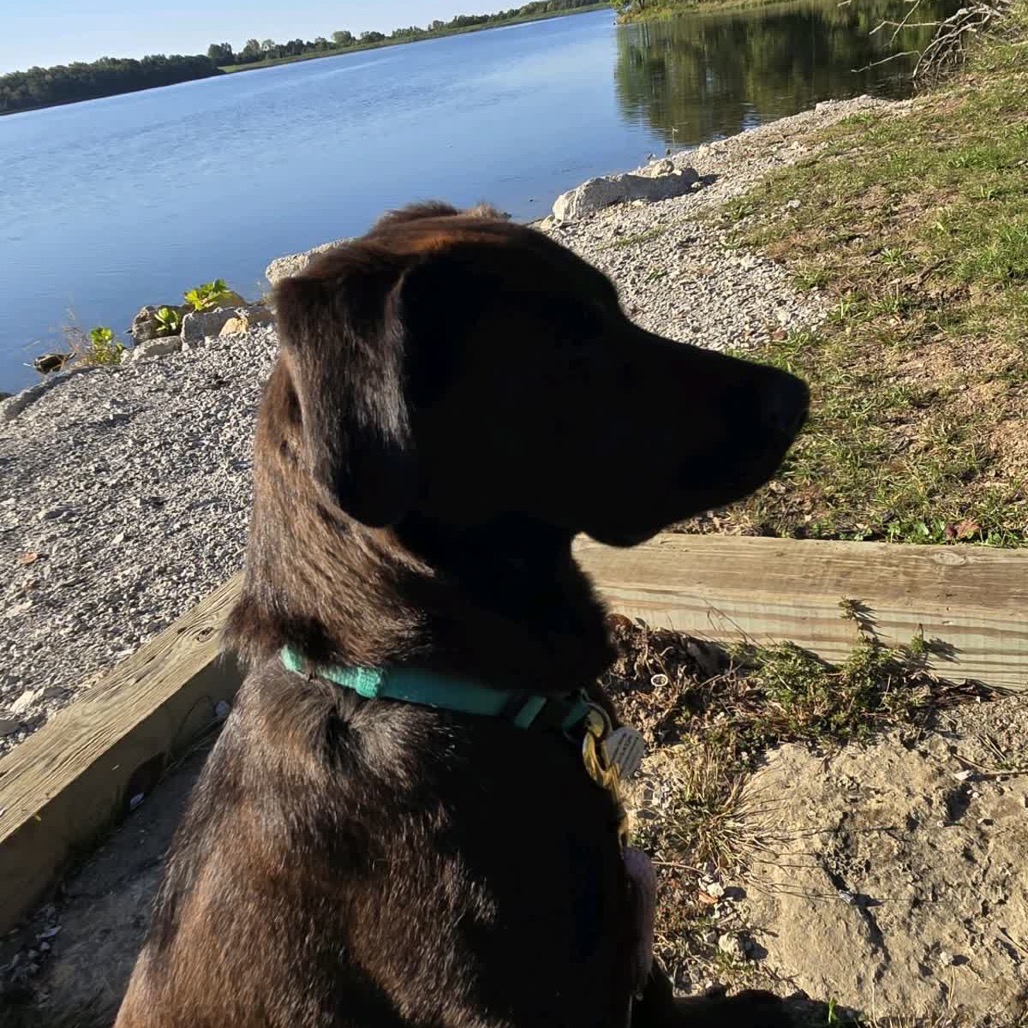 Brooks, photo 7