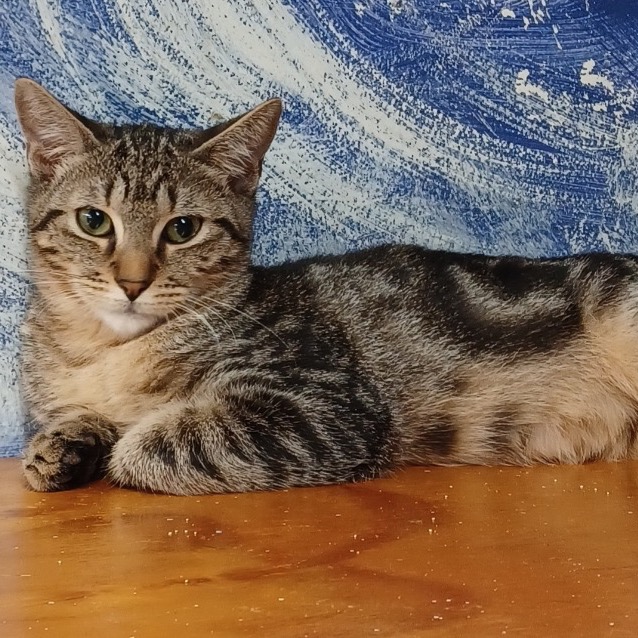 Full body shot of Beth