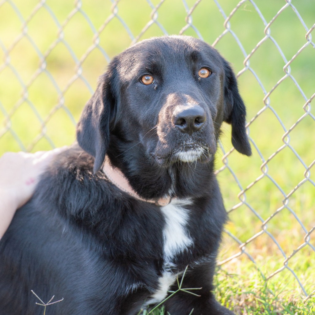 Ernie, photo 8