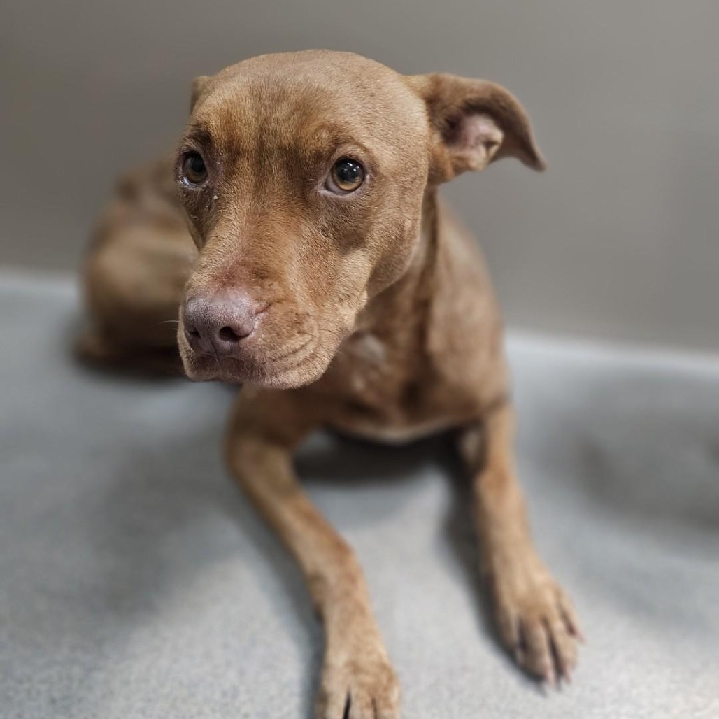 Kennel#18's preview photo