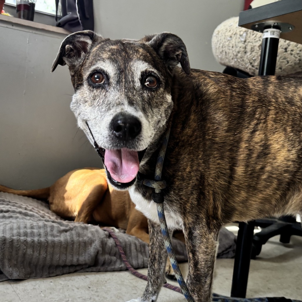Fred, additional photo