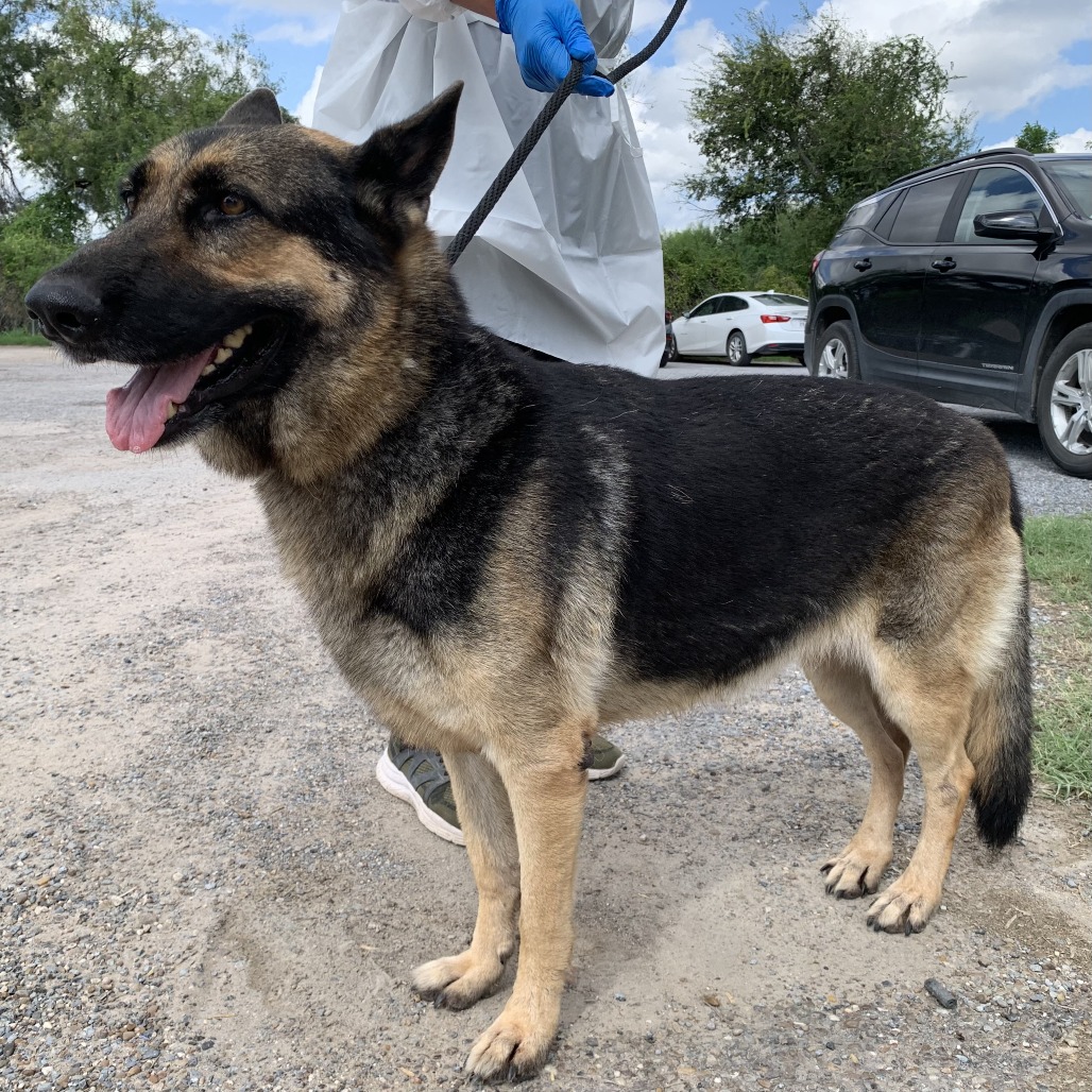 Shiloh, photo 4