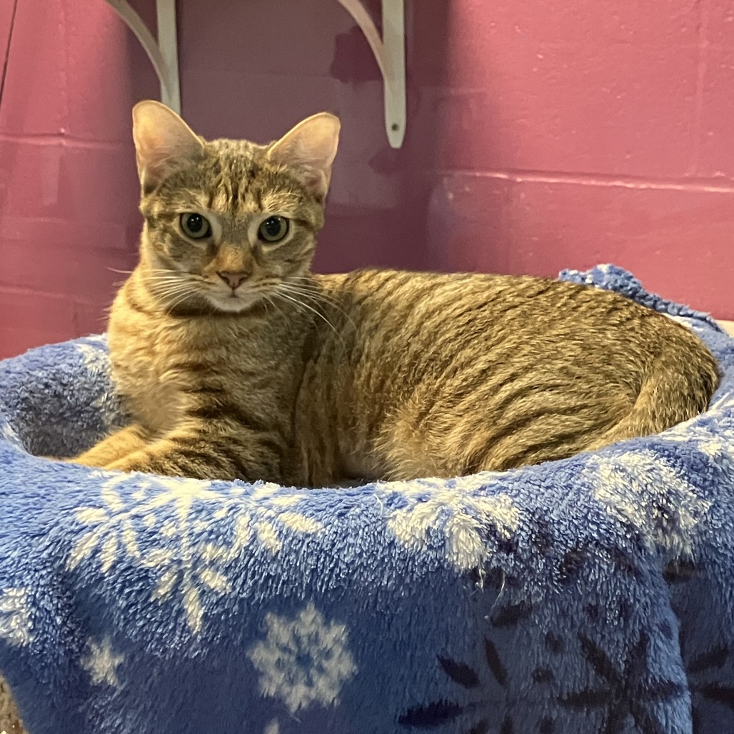 Photo of Havana and Canberra 4