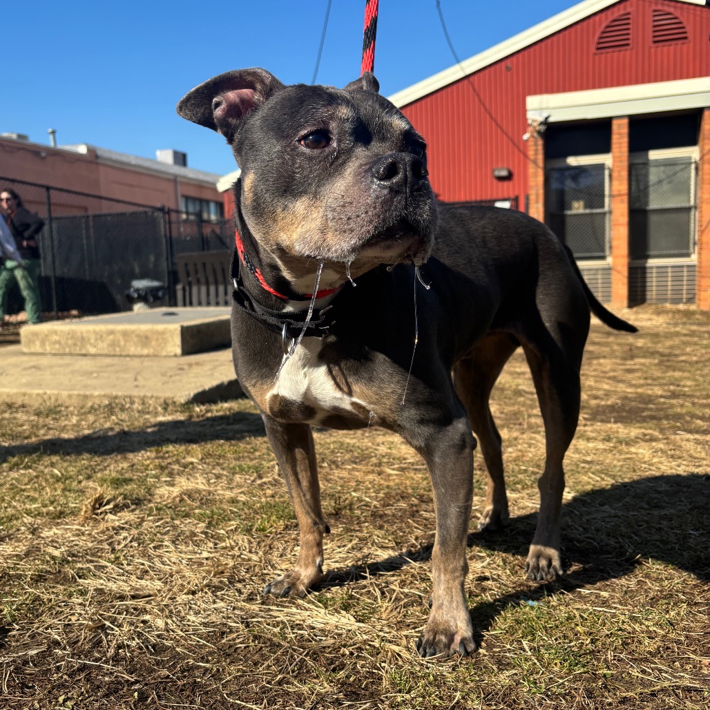 Lucas — thumbnail 3