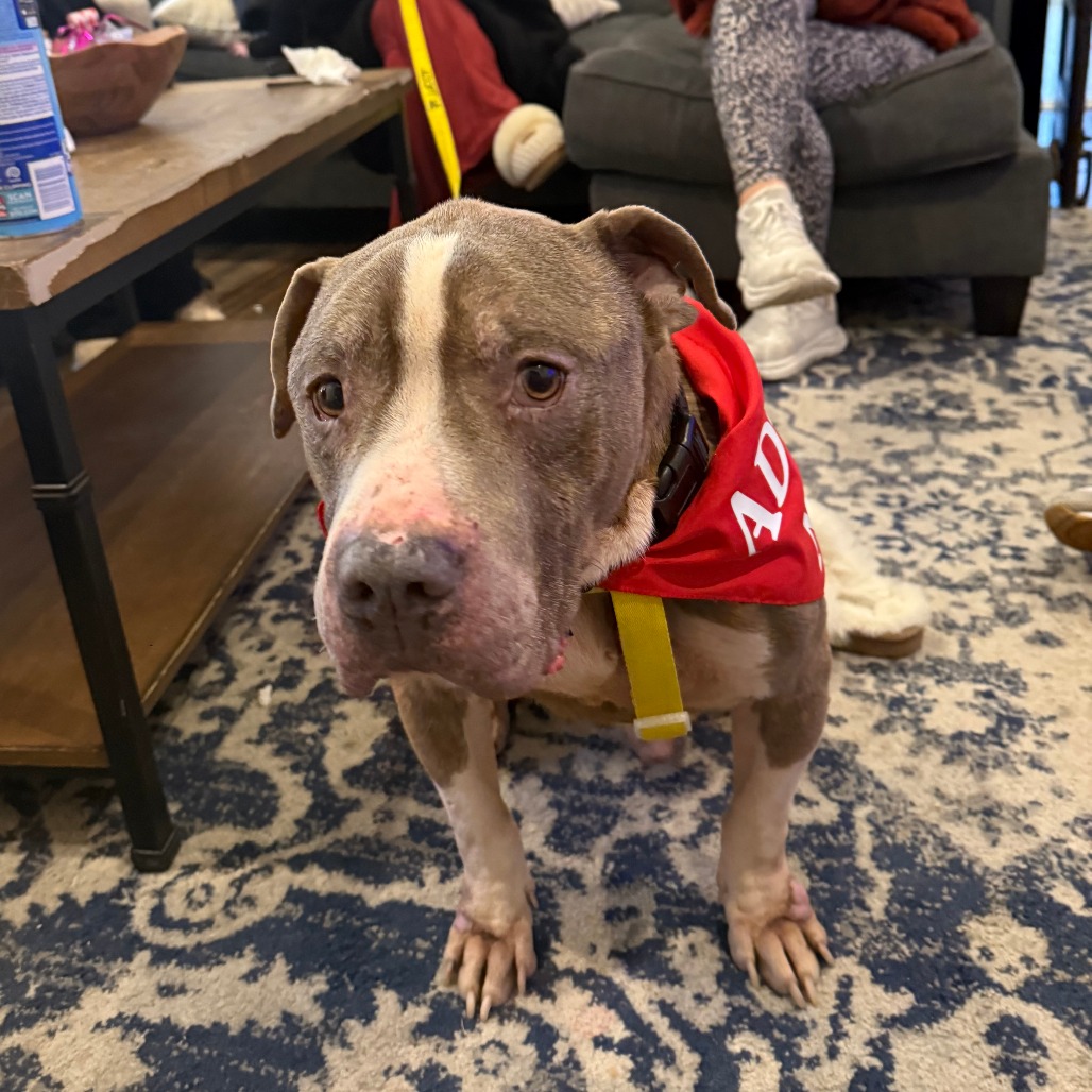 Fork — thumbnail 5