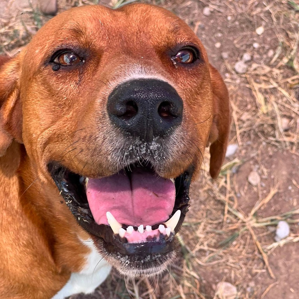 Photo of Jarvis