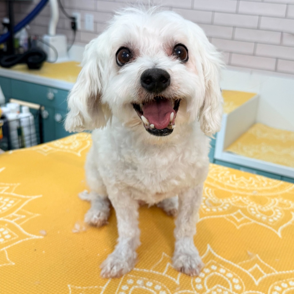 Roam 13751 — thumbnail 3