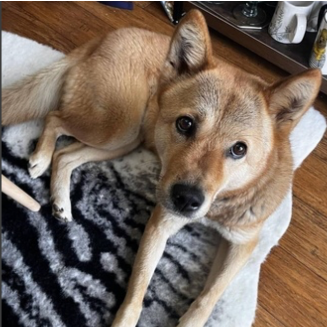 Moxie, photo 8