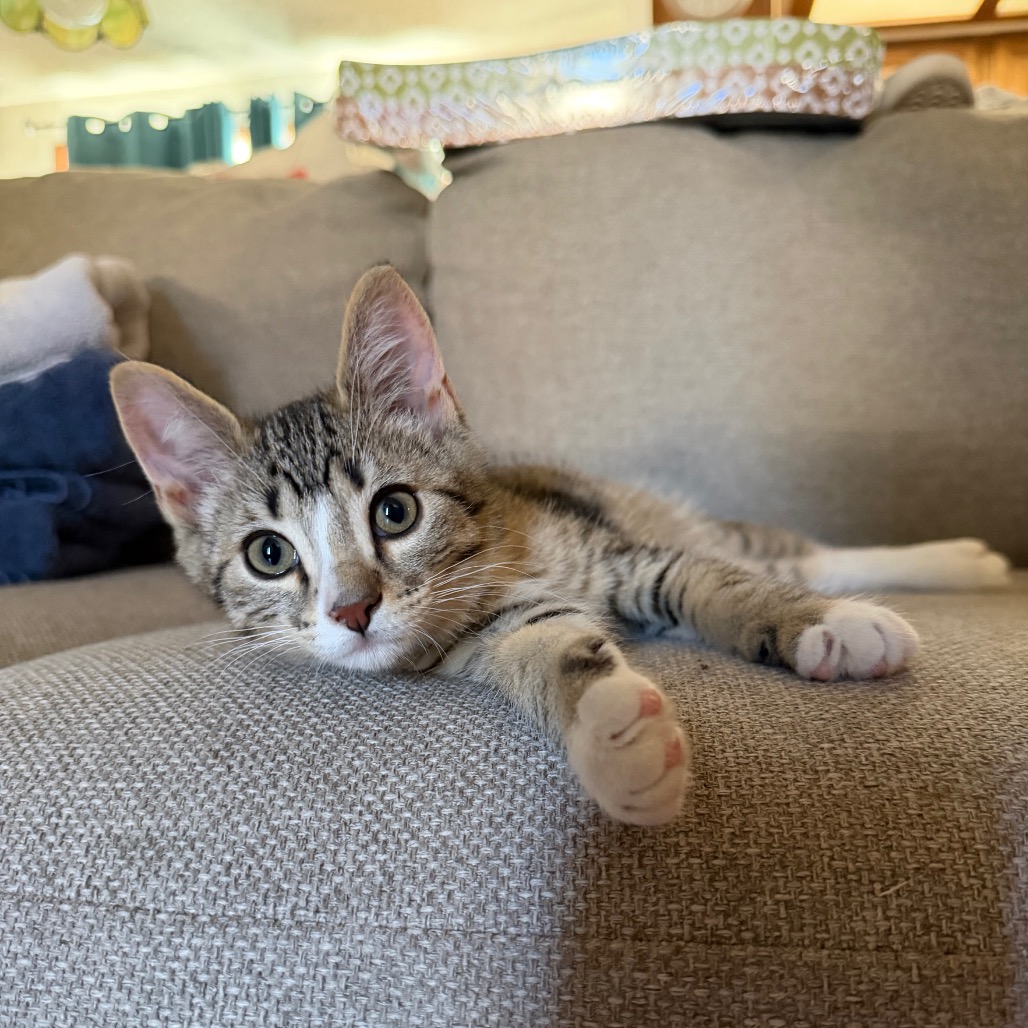 Photo of Fergus
