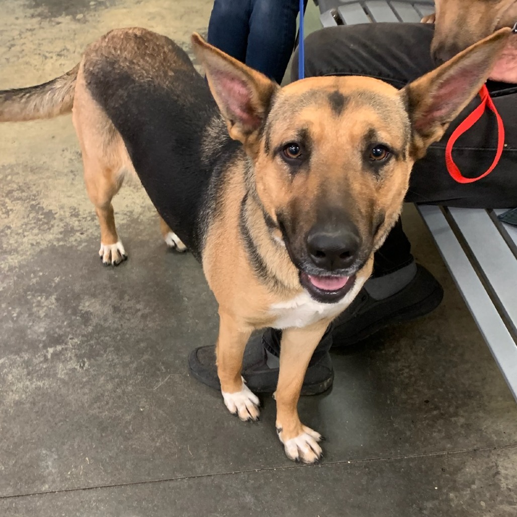 MARIAH — thumbnail 4