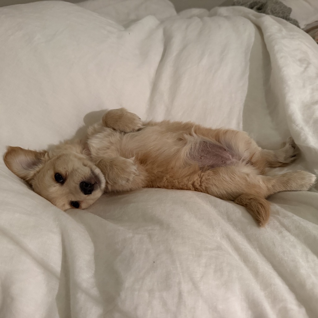 PRESLEY, photo 14