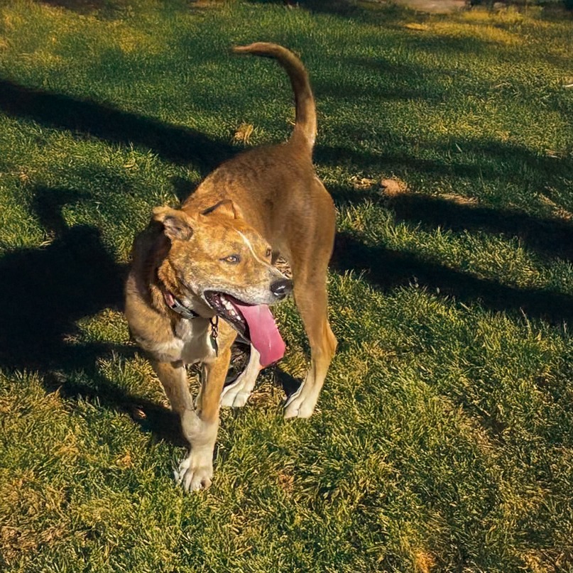 LEXI, photo 9