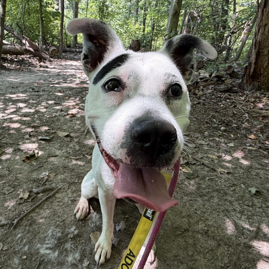 Mia, photo 20