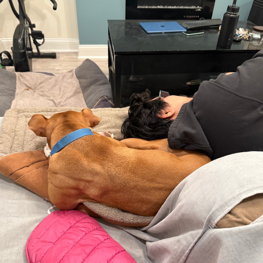 Canelo — thumbnail 4