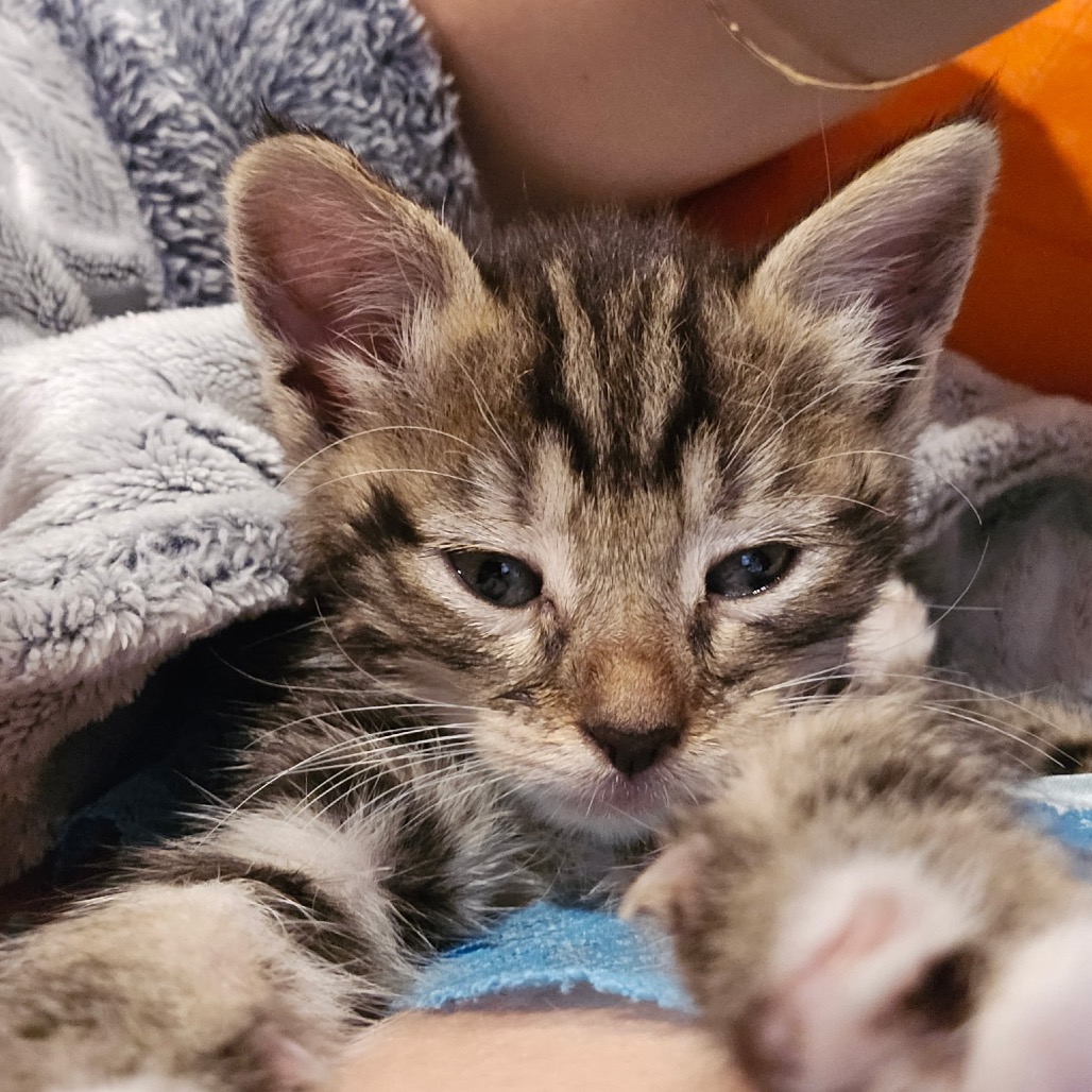 Newbie S2 - help us name this newbie! Image