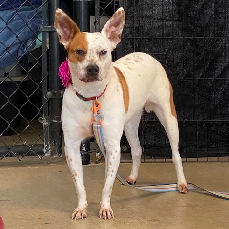 Willa — thumbnail 7