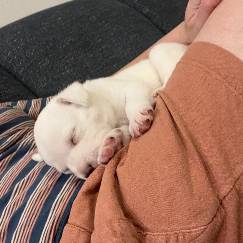 Doughly Parton — thumbnail 9