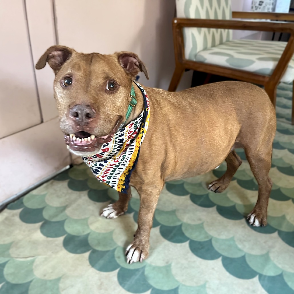 Monty, additional photo