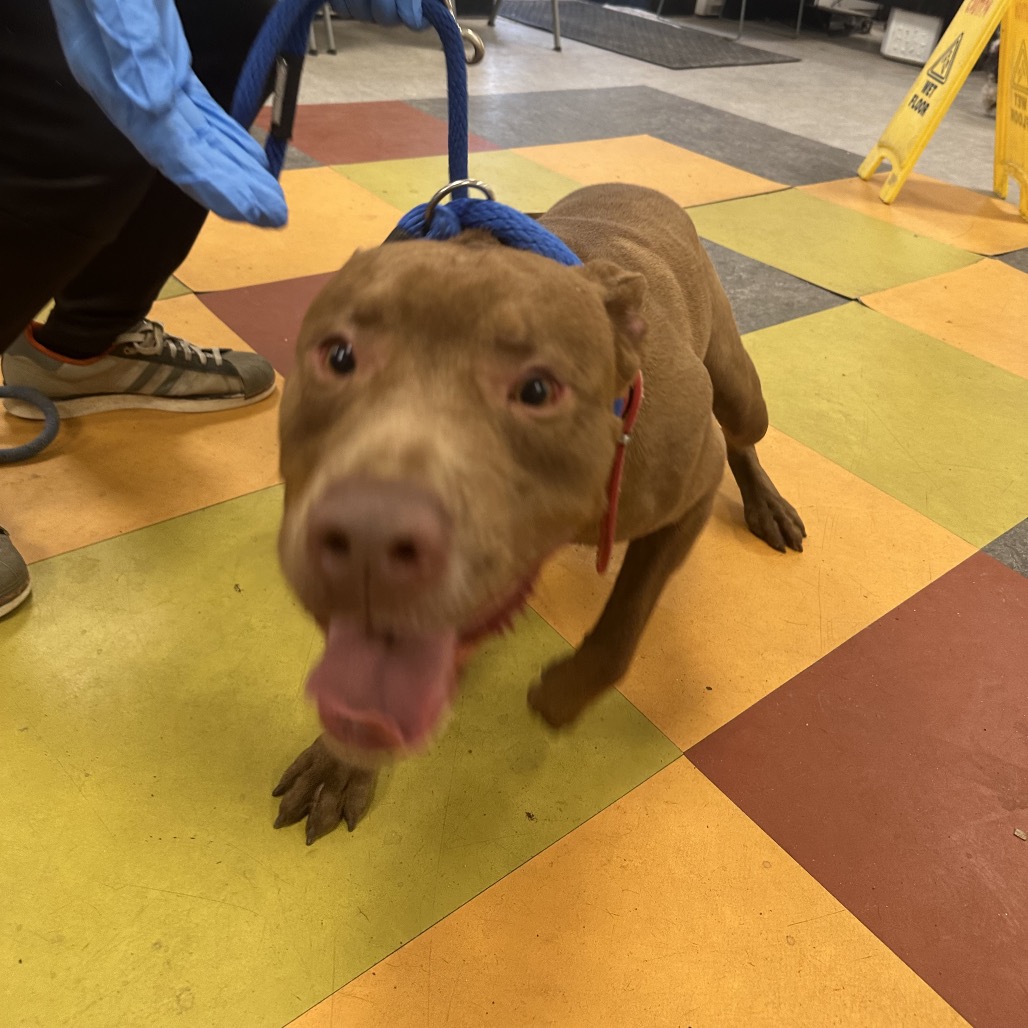 Spike — thumbnail 2