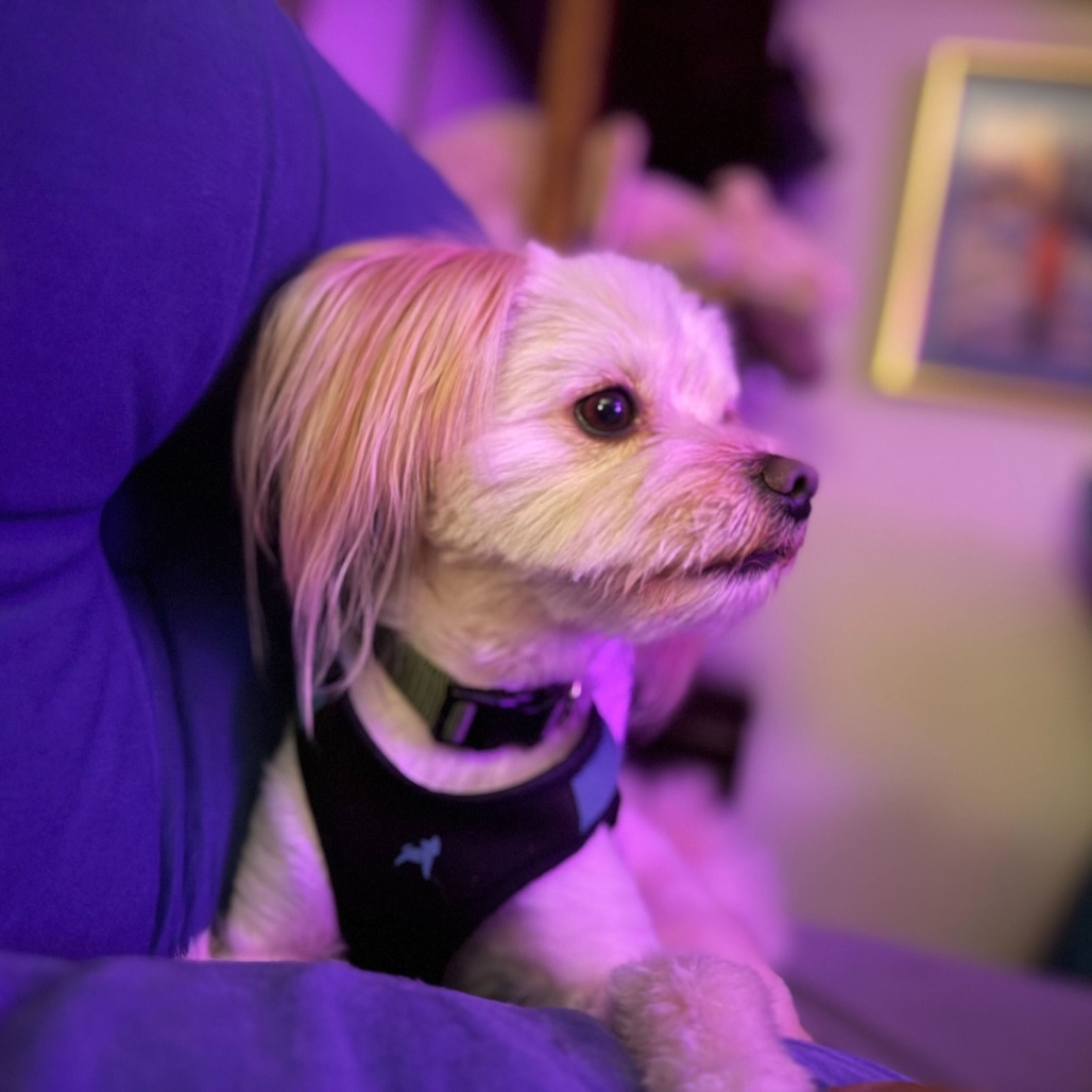 Barnaby — thumbnail 4