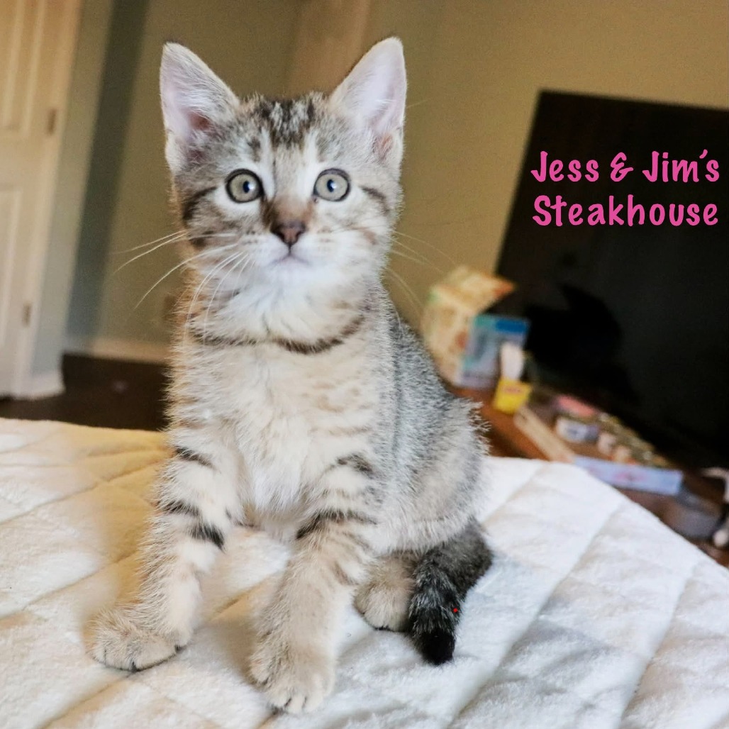 Jess & Jim's Steakhouse, photo 2