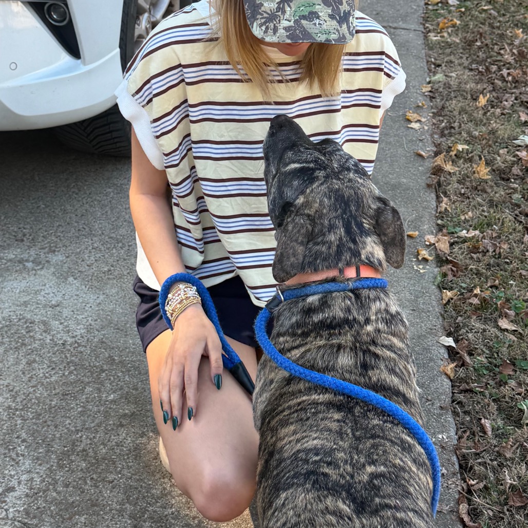 Daisy Duke (Formerly Phoebe), photo 22